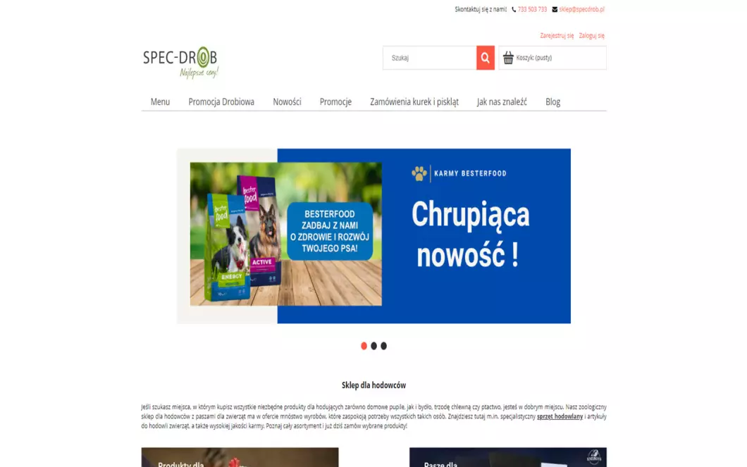 Zrzut ekranu strony